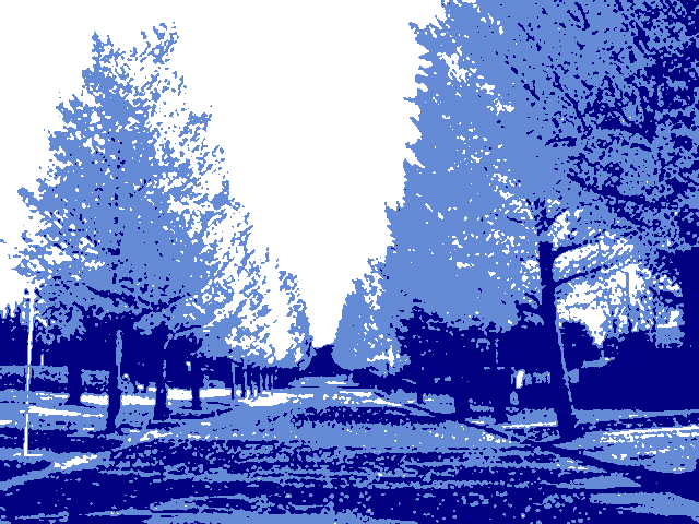 photo of tree with only a blue and white palette